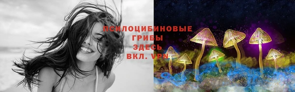 дмт Навашино