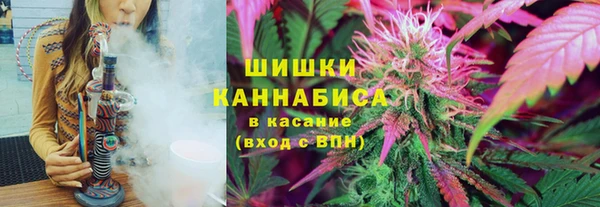хмурый Надым